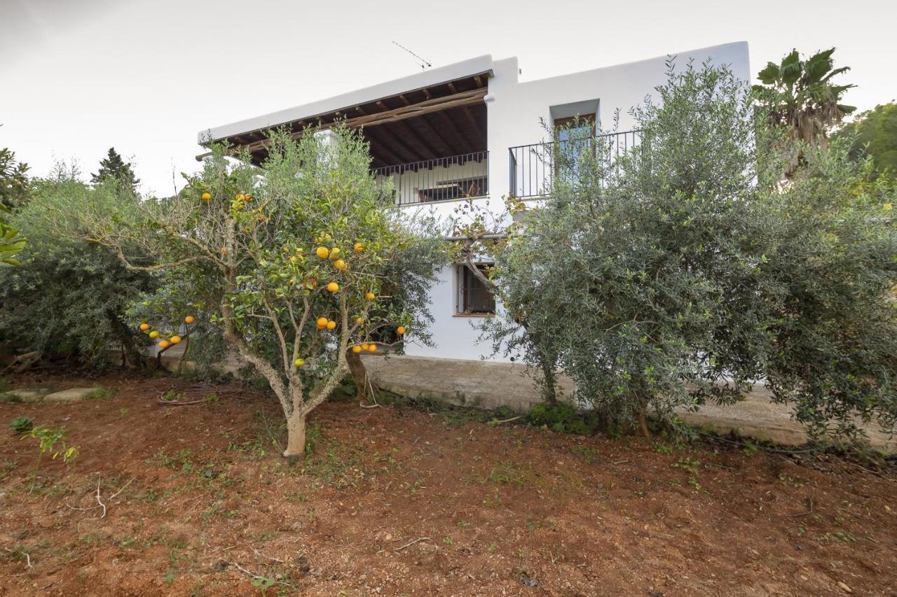 Macia Santa Eulària des Riu